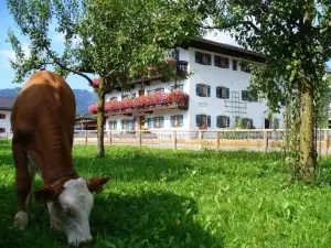 Beim Lenz