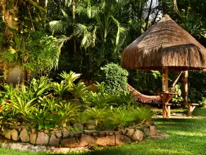 Recanto Das Andorinhas Studios