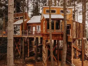 Treehouse over the Water - Eagle's Nest