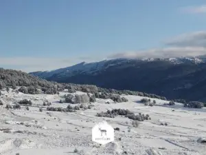 Le Petit Ours & le Petit Cerf - Studios Vue Lac & Montagnes