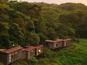 The Rainforest Ecolodge - Sinharaja with Shuttle Service from Car Park