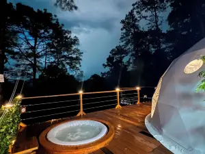 Tiny Pines Glamping