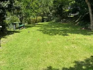 Amapondo