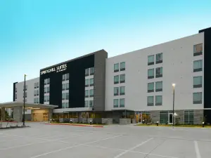 達拉斯DFW機場南中心港萬豪SpringHill Suites酒店