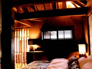 Indigo GEO House #Ds1