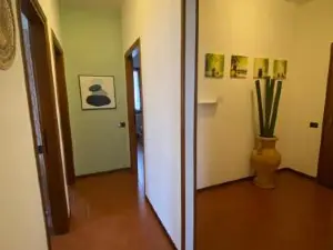 B&B Segrino