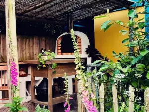 In de Aap - Appartementen & Guesthouse