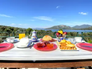 Gera's Olive Grove - Elaionas Lesvou