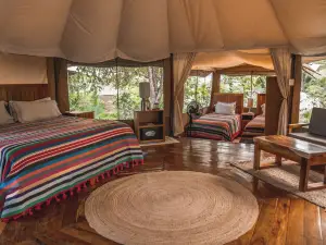 Destino Mio Mayan Jungle Retreat