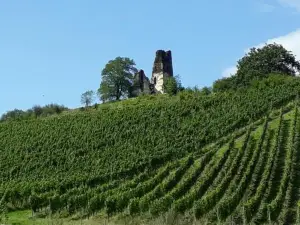 Ferienwohnung Gersch
