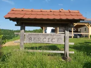 Apartma Silvia