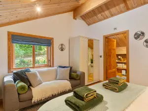Lodge 5 Longbury - Luxury Lodge, Woodland Views, Restaurant and Spa Facilites