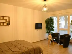 Appartement Tropical et JACUZZI Balnéothérapie Draveil
