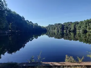 A real homely home close to Gatwick and the South East of England.