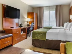 Comfort Suites Dover University Area