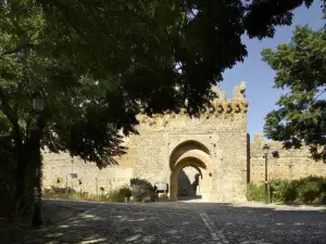 Duplex Santamaria