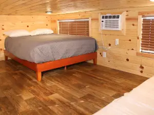 Holbrook Koa