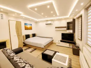 Elegant Ground-Floor Studio with Covered Terrace and Direct Access to Nature