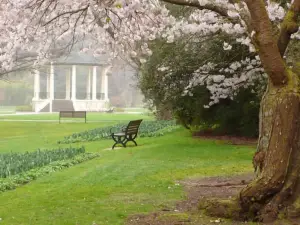 Central City Camping Park