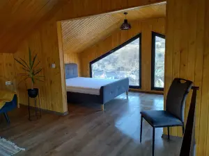 Cozy 1-bedroom chalet with WiFi, AC in charming Șuncuiuș