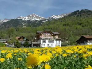 巴倫貝格 AG 高山玫瑰飯店