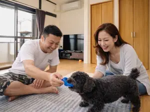 AZ 호텔 스모토