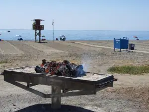 Wi-Fi Alta Velocidad de 1 Gbps Rodeado de Naturaleza