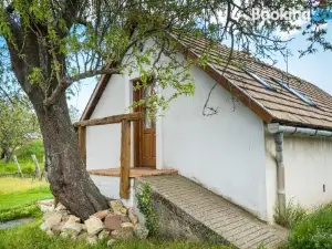 Tagyon Birtok Mandula Apartmanhaz
