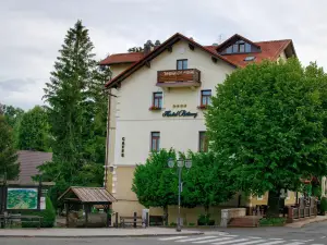 Hotel Bitoraj Fužine