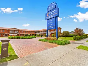 Comfort Inn & Suites King Avenue