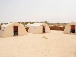 Campement Sahara Oasis Douz
