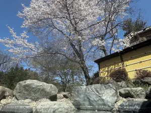 Sasanoyu