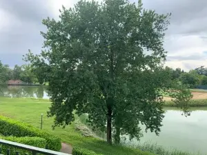 Ampio Appartamento Con Vista Lago, Sauna e Camino Golf Club Margara