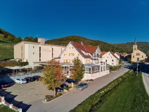 Landhotel Wilder Mann - Manfred Vogelbacher