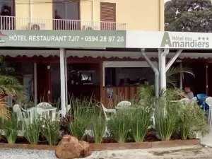Hôtel des Amandiers
