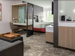 스프링힐 스위트 바이 메리어트 스와니 존스 크리크