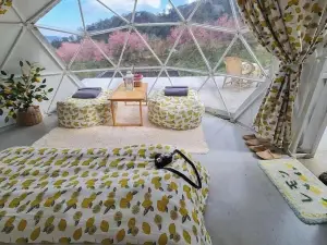 Doi Inthanon Tea Farmstay