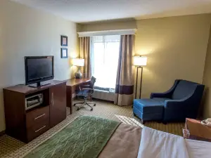 Comfort Inn Hammond