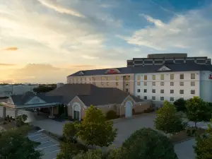 Hilton Garden Inn Las Colinas