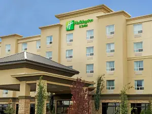 홀리데이 인 호텔 & 스위트 웨스트 에드먼턴 바이 IHG