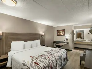 Red Roof Inn Enfield