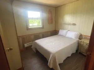 Direct Lakefront Cabin with 3 bedrooms! Serene Getaway!