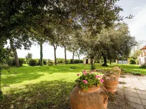 Agriturismo Bio San Mamiliano