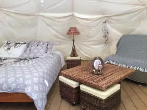 Tipis nature