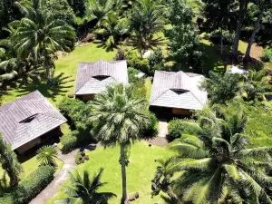 Eco Lodge Village Temanoha