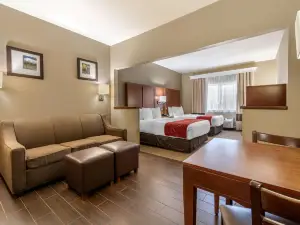 Comfort Suites Fort Collins Near University