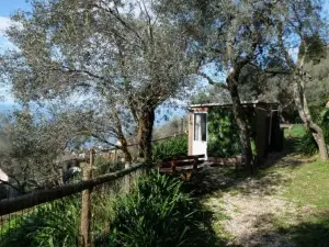 Agriturismo S.Ilario