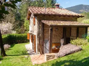 Comfortable House in Bibbiena + Pool