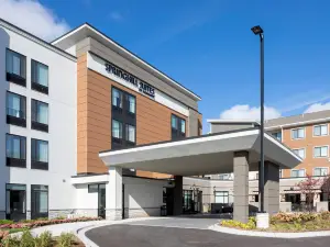 明尼阿波利斯楓林阿伯湖萬豪SpringHill Suites飯店