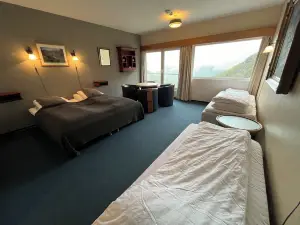 Hotel Videseter